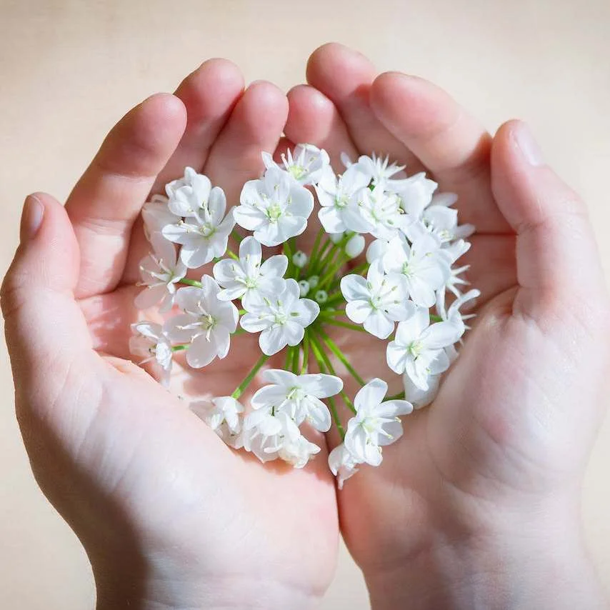 avis maître de cérémonie laïque obsèques officiant funéraire ariane douguet