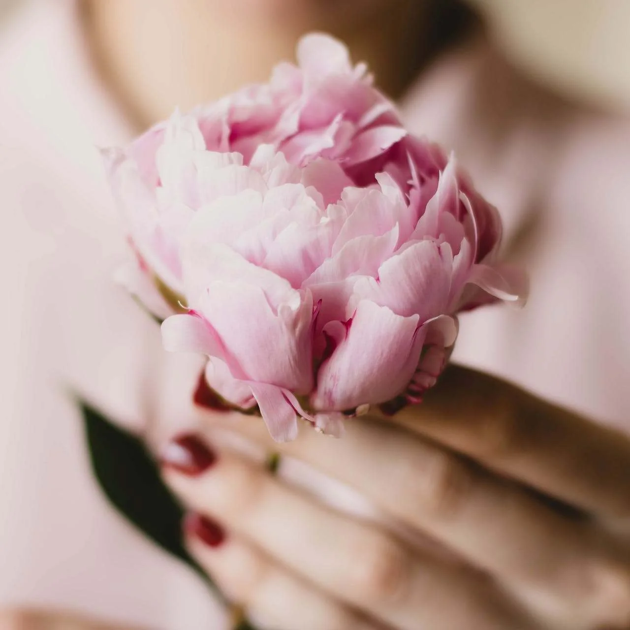 avis maître de cérémonie laïque Ariane Douguet officiant funéraire